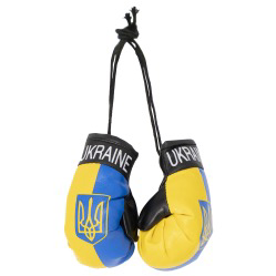 Guantes de boxeo en automóviles Ucrania